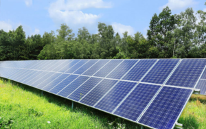 TẤM PIN NĂNG LƯỢNG MẶT TRỜI LÀ GÌ? CÁCH LỰA CHỌN TỐI ƯU NHẤT 2026